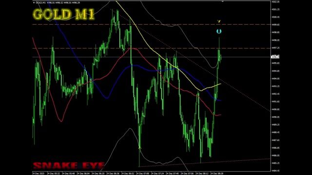 蛇眼SNAKE EYE_GOLD_スキャルピング.mp4