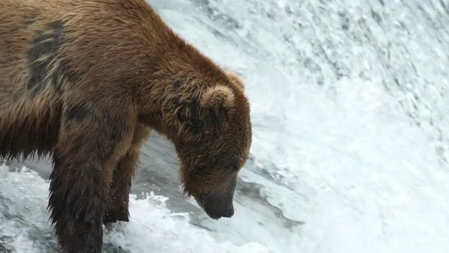 Semi-Auto EA ftu7.mp4