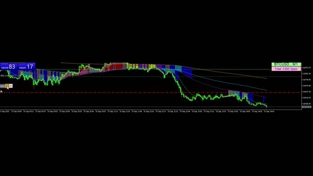 画面録画 2025-09-19 204559 BTC.mp4