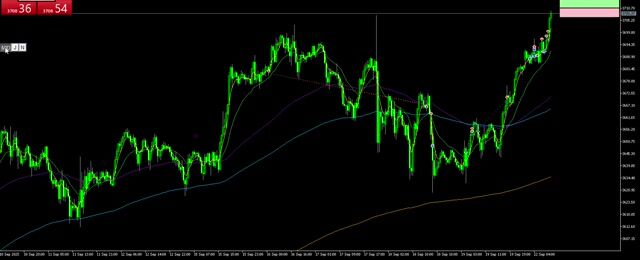 画面録画 2025-09-22 153733.mp4