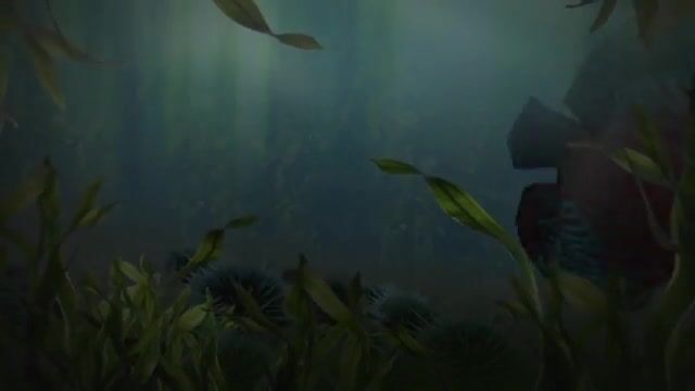 1080-142790249_small.mp4