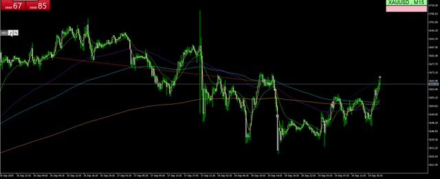 画面録画 2025-09-20 001216.mp4