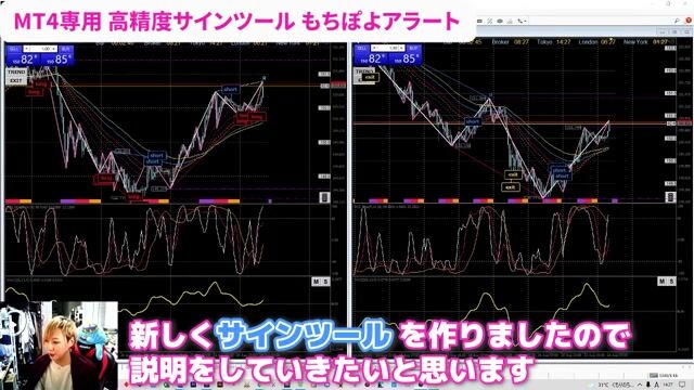 【FX高精度サインツール・手法】もちぽよアラート.mp4