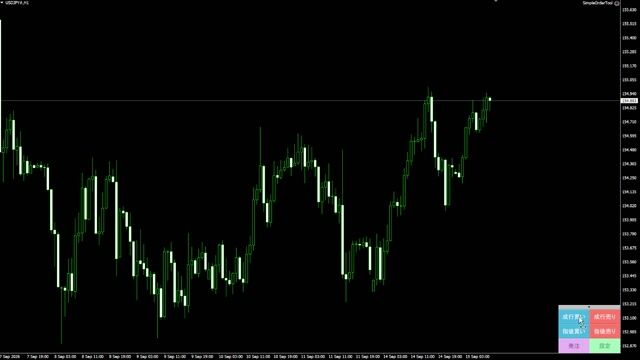 ロット計算機能付き裁量エントリー支援ツール_001.mp4