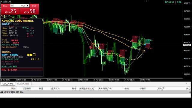参考動画.mp4