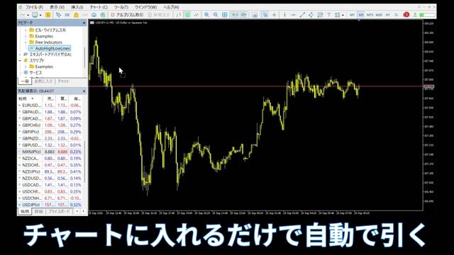 紹介動画