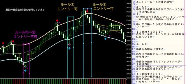 エントリーの補足説明.mp4